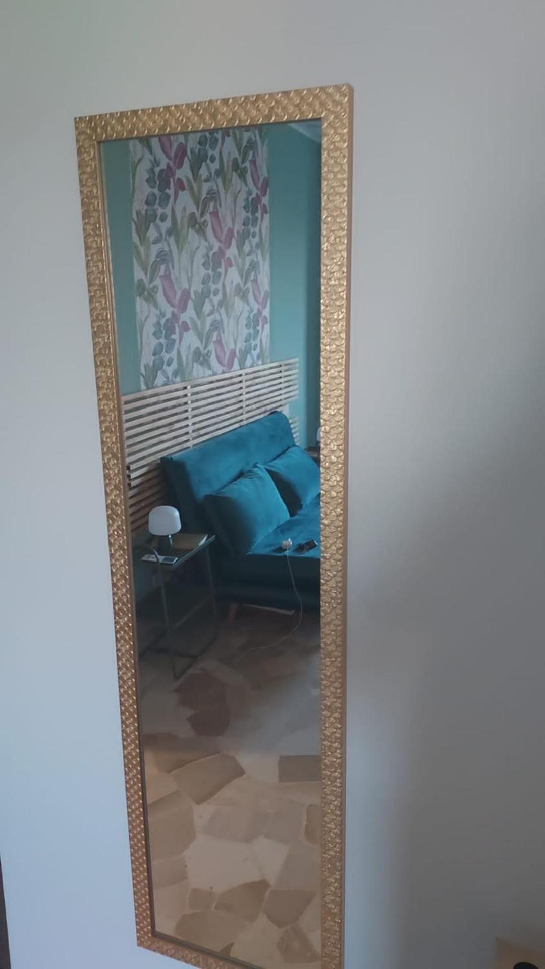 פרו Mycosmostudio מראה חיצוני תמונה